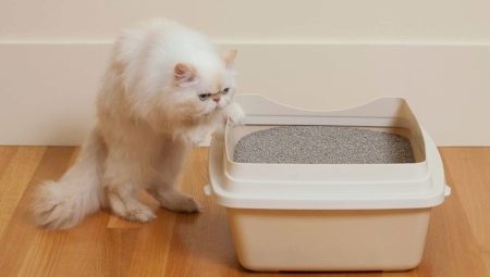 Бентонитовые наполнители для кошачьего туалета: плюсы, минусы и выбор