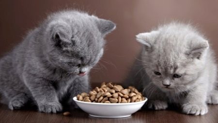 Корма для котят и кошек с чувствительным пищеварением