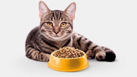 Беззерновые корма для кошек