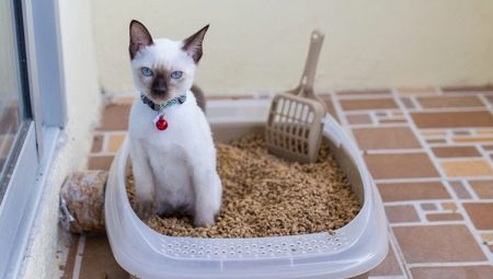 Как выбрать и пользоваться лотком с решеткой для кошек? 