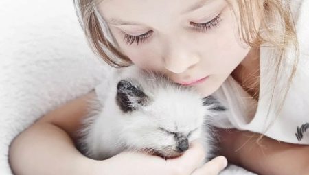 Кошки для детей: обзор лучших пород