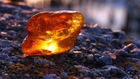Янтарь: особенности, виды и свойства камня 