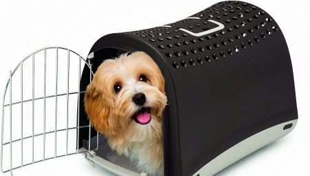 Переноски для собак: назначение и виды