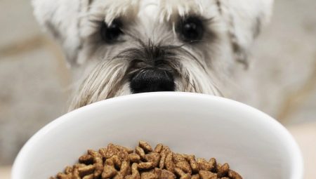 Гипоаллергенный корм для собак: особенности, виды и критерии выбора