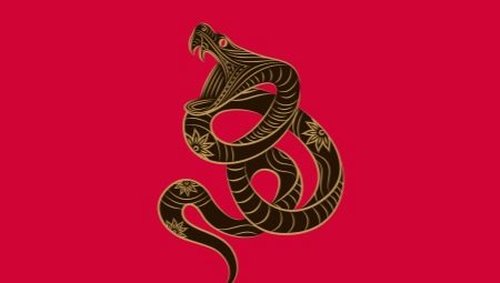 Мужчина Змея: характеристика и совместимость