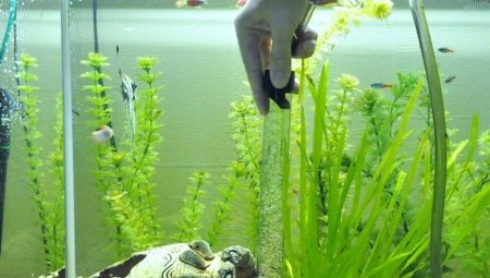 Сифоны для аквариума: выбираем пылесос для чистки грунта
