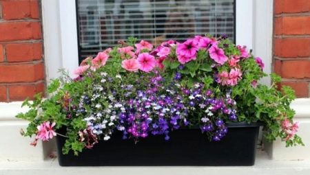 Балконные ящики для цветов: какими бывают и как их выбрать?