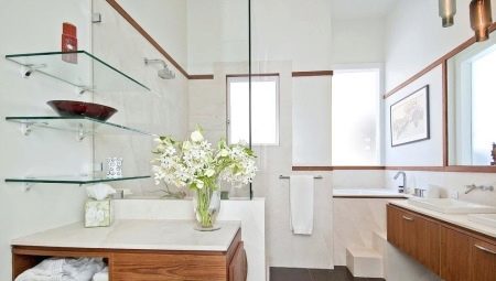 Стеклянные полки в ванную комнату: разновидности, советы по выбору