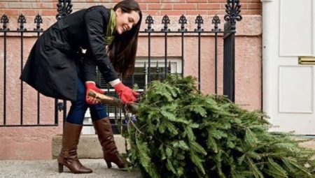 Когда и как убирать елку после Нового года?
