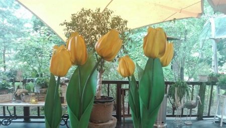 Как сделать тюльпаны из изолона?