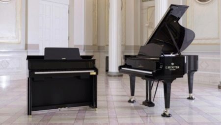 Чем пианино отличается от фортепиано и рояля?
