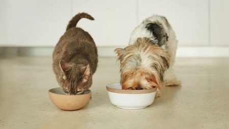 Корм Animonda для кошек и собак