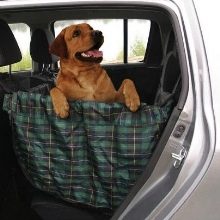 Как правильно перевозить собаку в машине: правила ГАИ