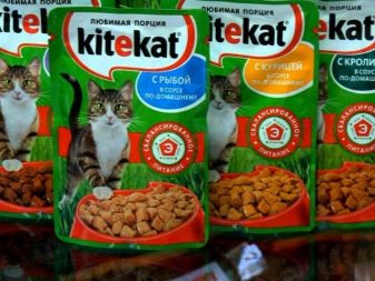 Лучшие корма для бенгальских кошек