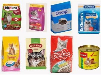 Сколько грамм пищи нужно кошке
