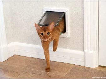 Какую дверцу для кошек выбрать