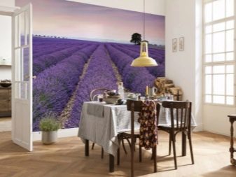 Дизайн стены возле стола на кухне 50 фото полки фотообои и картины над обеденным столом Чем еще можно украсить стену