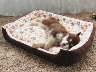 Как приучить щенка к месту для сна