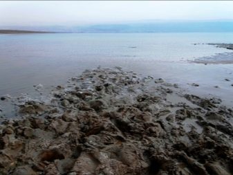 Косметика Мертвого моря; Израиль 2019 | Экскурсии из Эйлата в Иерусалим и Петру, отели, авиабилеты