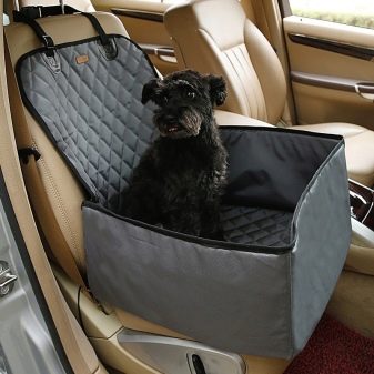 Как перевозить собаку в машине?