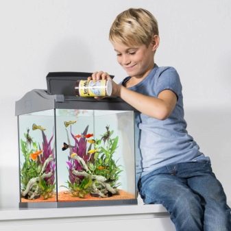 Аквариумные рыбки для ребенка 5 лет