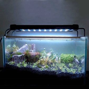 Ультрафиолетовая лампа в аквариуме польза или вред thumbnail