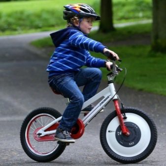 Как выбрать велосипед для ребенка 5 лет