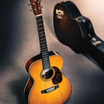 Описание видов акустических гитар и их особенности