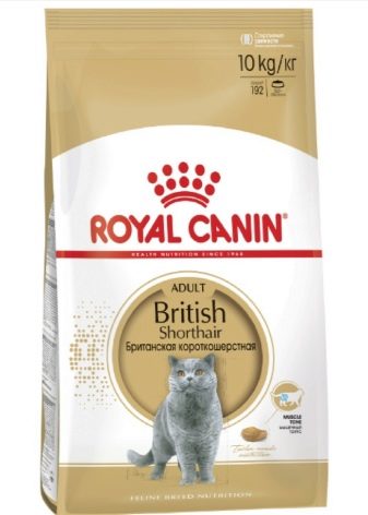 Порода кошки британская синяя