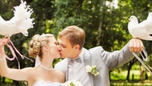 Голуби на свадьбе – все об особенностях традиции