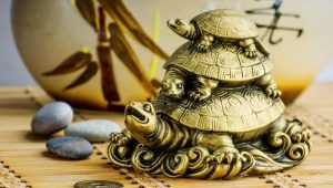 Значение черепахи: куда поставить, что символизирует в украшениях и талисманах?