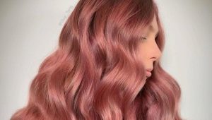 Цвет волос розовое золото: оттенки и нюансы окрашивания