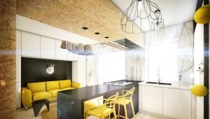 Дизайн кухни-гостиной 16 кв. м