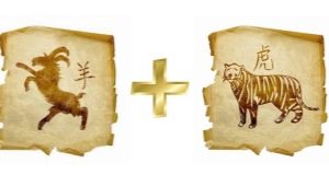 Совместимость Тигра и Козы (Овцы) по восточному гороскопу