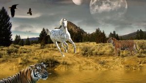 Совместимость Тигра и Лошади в дружбе, работе и любви