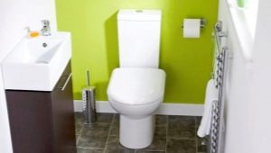 Варианты дизайна маленького туалета