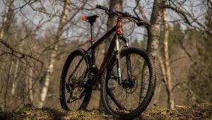 Велосипеды KTM: модели, рекомендации по выбору