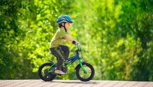 Детские велосипеды от 3 до 5 лет: лучшие модели и секреты выбора