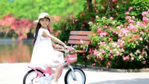Велосипед для девочки: виды и выбор