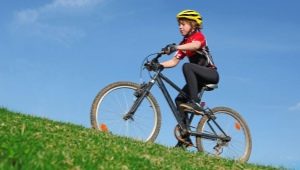 Велосипеды для мальчиков-подростков: лучшие модели и критерии выбора