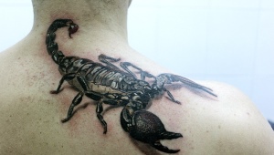 Что означают тату со скорпионами и какими они бывают?