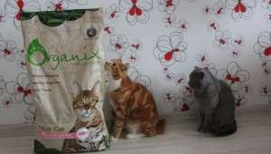 Обзор кормов для кошек и котов Organix