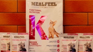 Особенности кормов для котят MEALFEEL