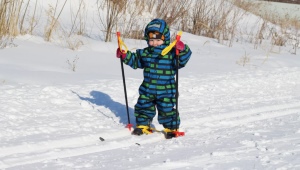 Все о детских лыжных палках