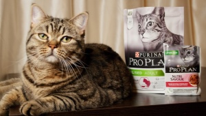 Все о кормах для кошек и котов Purina Pro Plan