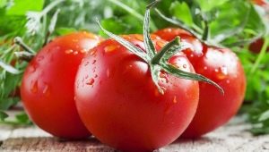 Борная кислота для томатов и особенности ее применения