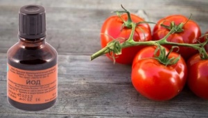 Как подкармливать помидоры йодом?