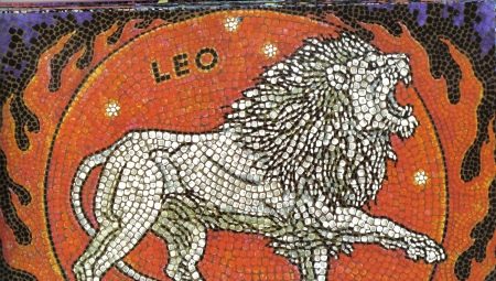Характер женщины Льва, рожденной в год Дракона