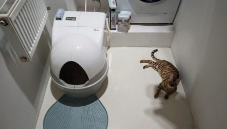 Автоматические туалеты для кошек: особенности, выбор и рейтинг моделей