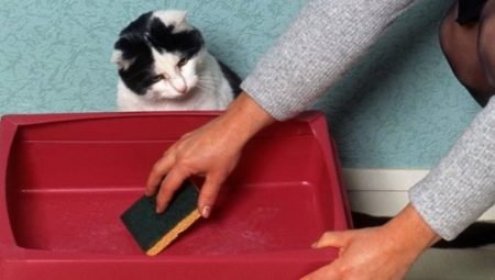 Чем лучше мыть кошачий лоток, чтобы не было запаха?